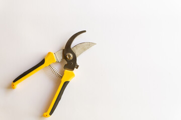 Pruning scissors. Garden trimmer. Scissors for working in the garden with various layouts isolated on a white background.