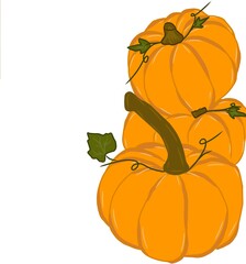 pumpkin with leaves