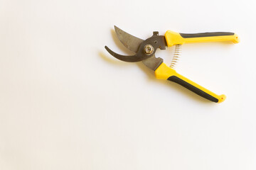 Pruning scissors. Garden trimmer. Scissors for working in the garden with various layouts isolated on a white background.