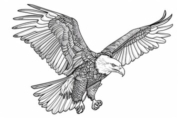 Obraz premium Coloring book illustration of a majestic eagle in flight