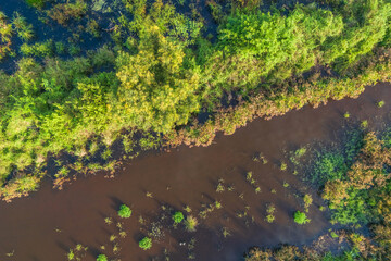 Aerial View of Lush Swamp. Aceh Sumatra Indonesia
