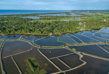 aerial view of fish ponds bordered by the dikes