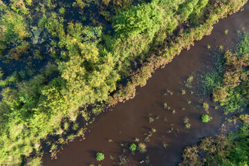 Aerial View of Lush Swamp. Aceh Sumatra Indonesia