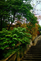 Stairs going up to the Fisherman's Bastion in Budapest