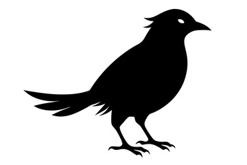 Bird Silhouette | isolated vector silhouette illustration on white background