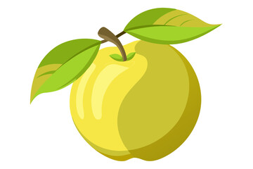  beautiful quince fruit vector illustration 