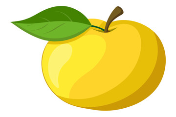  beautiful quince fruit vector illustration 