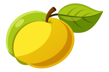  beautiful quince fruit vector illustration 