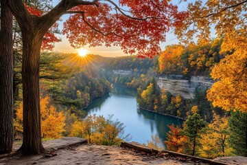 Autumn Forest Lake Scenic View with Sun Rays and Tree Branches