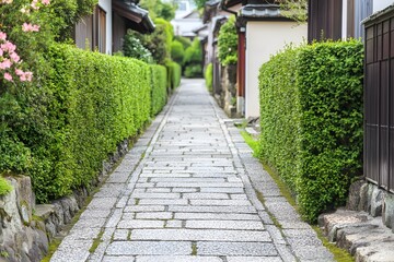 Stone Path Through Green Hedges in Japanese Garden