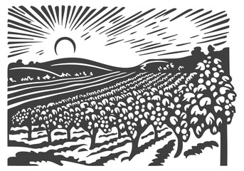 Serene Vineyard Landscape with Sunrise