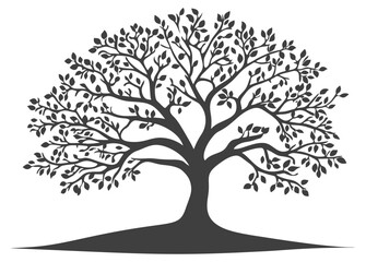 Obraz premium Elegant tree silhouette with intricate branch patterns