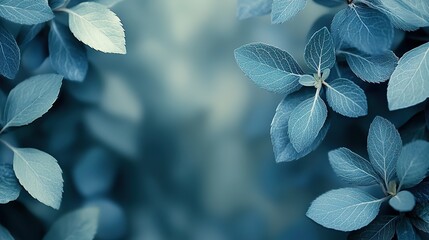 aesthetic and beautiful minimalism background featuring nature based elements showcasing serene and calming atmosphere with subtle elegant design elements inspired by the natural world.image