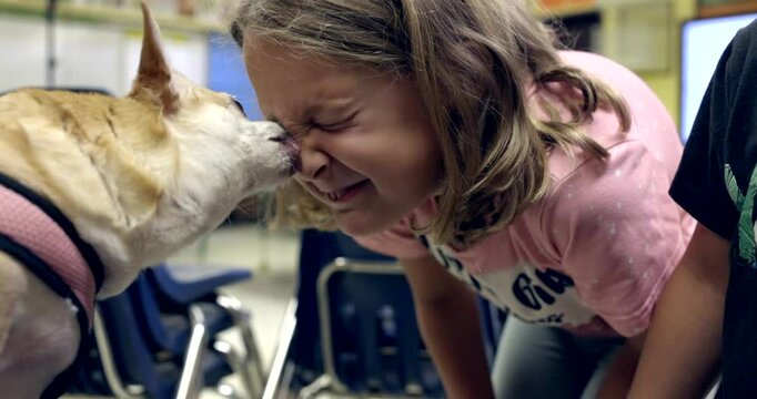 A young girl is playing with a dog, who is wearing a pink collar. The girl is wearing a pink shirt, and they are both enjoying each other's company as the dog licks the girls face.