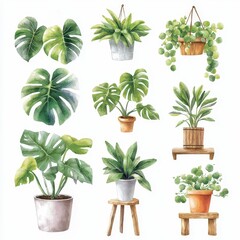 Fototapeta premium Colorful Assortment of Lush Houseplants Decorating Indoor Living Space with Wooden Furniture long title This image showcases a diverse collection of