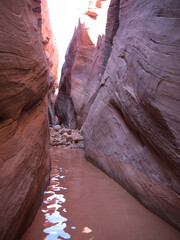 Flooded canyon bottom after the rain in Buckskin Gulch
