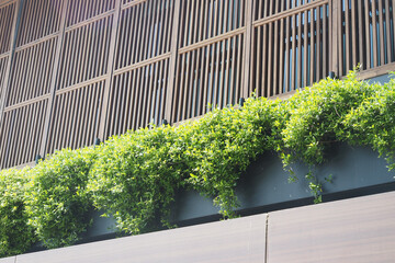 Lush greenery on the modern buildings facade and wooden slats create a vibrant atmosphere