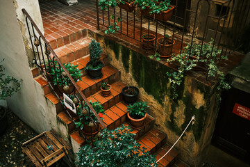 Rustic Garden Staircase with Potted Plants