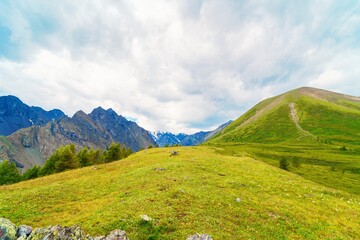 empty alpine meadow