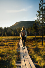 Rear view of a female hiker walking alone on a wooden path through Nordic nature, with the Nipfjället mountain backdrop in the natural light of the golden hour in the serene landscape