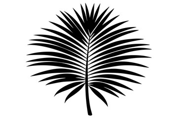 Palm tree leaf | isolated vector silhouette illustration on white background