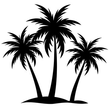 black palm trees silhouette on white