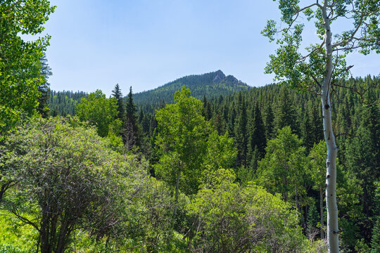 mountain peak and woodlands at golden gate canyon state park golden colorado
