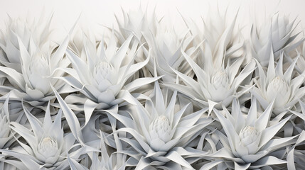 The striking white pineapples create a visually appealing arrangement that emphasizes their unique shapes and textures in a calm, minimalist atmosphere