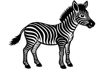 Illustration of standing cute zebra foal