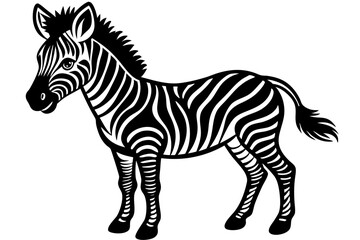 Illustration of standing cute zebra foal