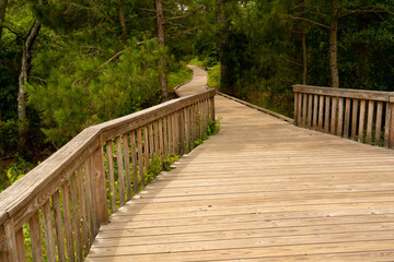 a large fenced in deck has a long walking boardwalk leading to the entertainment area made of lumber materials and built by skilled labor of carpenter in outdoor space