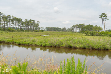 narrow stream of freshwater split from a main river flow into the delta region continue flow...