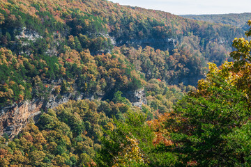 Cliffside views that stir the heart and quiet the mind, Cloudlands Canyon State Park, Rising Fawn, Georgia