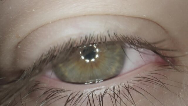 This macro shot with intricate details of a human eye blinking, capturing the fine eyelashes, eyebrow detail, and the eye's natural color. Perfect for educational or artistic use.