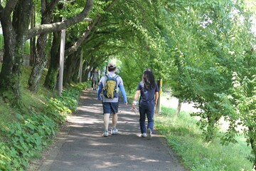 Fototapeta premium Image of people walking on Daecheongcheon Trail