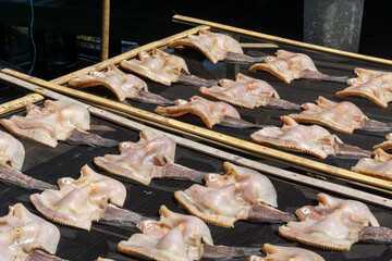 The process of making salted fish or dried fish from South Kalimantan, Indonesia, which is dried in the sun.