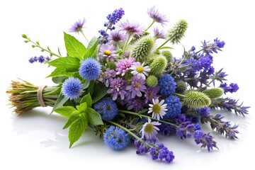 Violet blue wildflower bouquet isolated on white background