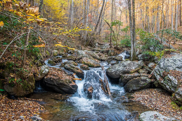 The water in a stream never stops, and neither should we; its persistence is its power, Anna Ruby Falls, Helen, Georgia, United States of America