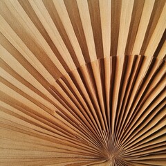 Corrugated palm leaf closeup