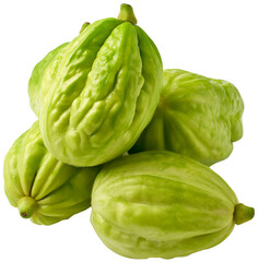 Fototapeta premium Chayote vegetable isolated Design - Sechium edule Plant illustration on a white background