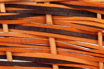 Beautiful texture of willow branches.