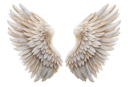 angel-wings png