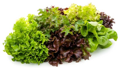 Obraz premium Lettuce on a white background, realistic photographic style, high-resolution digital photography
