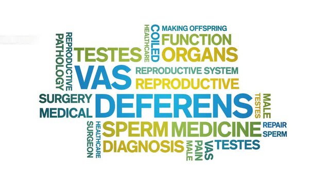 Vas Deferens animated word cloud;text design animation tag kinetic typography seamless loop.