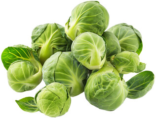 Fototapeta premium Fresh Brussels sprout vegetable isolated Design - Brussels sprout illustration on a white background