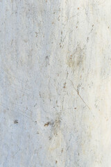 Eucalyptus tree bark texture, Bark of eucalyptus tree, seamless texture, a eucalyptus tree bark texture background image