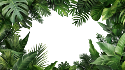 A festive frame of palm leaves and trees, blending tropical vibes with holiday cheer for a cheerful winter celebration