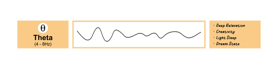 Theta Waves - Brainwave activity graph, Daydreaming, Sleep, and Cognitive Function.