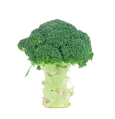 Broccoli vegetable.