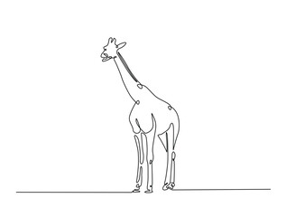 Continuous one line drawing of Giraffe with white background. Giraffe single line art vector illustration. Editable vector.